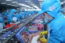 Dây chuyền chế biến cá tra xuất khẩu. (Ảnh: Vũ Sinh/TTXVN) 