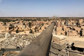 (Nguồn: Sputniknews)