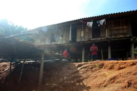 Một hộ dân làm nhà ngay sát cụm di tích. (Ảnh: Phan Tuấn Anh/TTXVN)