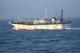 Một tàu cá Trung Quốc. (Ảnh: Maritime Executive/TTXVN)