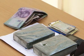 (Ảnh minh họa: Xuân Tư/TTXVN)