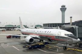 Máy bay Boeing 737-800 của hãng hàng không American Airlines tại sân bay O'Hare ở Chicago, Mỹ. (Nguồn: AFP/TTXVN)