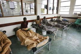 Bệnh nhân mắc bệnh tả được điều trị tại một bệnh viện ở Harare của Zimbabwe. (Ảnh: AFP/TTXVN)