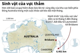 [Infographics] Hơn 100 loài cá quý hiếm được kéo lên từ đáy của biển