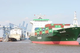 Một tàu cập cảng Cái Mép bốc dỡ hàng hóa. (Ảnh: Hà Thái/TTXVN)