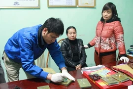 (Ảnh minh họa: Tá Chuyên/TTXVN)