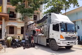 Bắt giữ lô máy móc, thiết bị điện lạnh lớn không rõ nguồn gốc