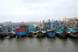 Tàu thuyền neo đậu tại cảng cá Tịnh Kỳ, thành phố Quảng Ngãi. (Ảnh: Phước Ngọc/TTXVN)