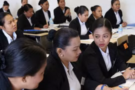 (Nguồn: nikkei.com)