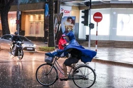 Ảnh minh họa. (Nguồn: Vietnam+)