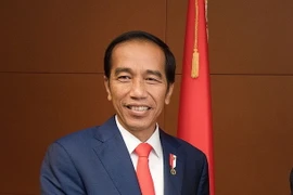 Tổng thống Indonesia Joko Widodo. (Ảnh: AFP/TTXVN)