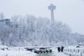 Băng tuyết bao phủ thành phố Ontario, Canada ngày 30/12/2017. (Ảnh: THX/TTXVN)