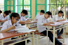 Ảnh chỉ có tính minh họa.. (Nguồn: Thế Duyệt/TTXVN)