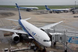 Máy bay của Hãng hàng không ANA tại sân bay Haneda ở Tokyo. (Ảnh: TTXVN phát)