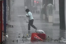 Mưa lớn khi bão Trami đổ vào Naha, tỉnh Okinawa ngày 29/9. (Ảnh: Kyodo/TTXVN)