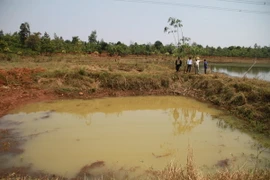 Ảnh minh họa. (Ảnh: Nguyễn Hoài Nam/TTXVN)