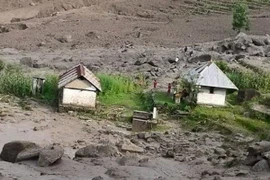 Ảnh minh họa. (Nguồn: THX/TTXVN)