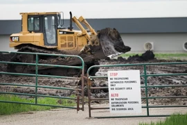 Cúm gia cầm "móc túi" khoảng 8 tỷ USD của người tiêu dùng Mỹ