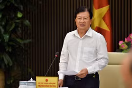 Phó Thủ tướng Trịnh Đình Dũng phát biểu tại buổi họp. (Nguồn: baochinhphu.vn)