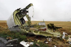 Xác máy bay MH17 của Hãng hàng không Malaysia Airlines bị bắn rơi gần làng Grabove, cách Donetsk, miền Đông Ukraine khoảng 80km. (Nguồn: AFP/TTXVN)