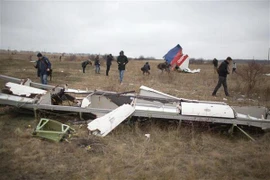 Hiện trường vụ rơi máy bay MH17 gần làng Hrabove, khu vực Donetsk, Ukraine. (Nguồn: AFP/TTXVN)