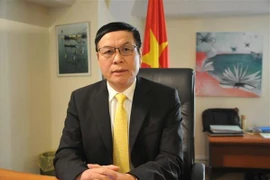 Đại sứ Vũ Anh Quang. (Ảnh: Kim Chung/TTXVN)