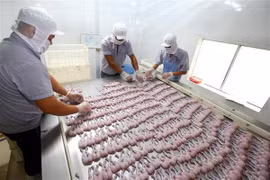 Dây chuyền đóng gói và sản xuất ếch xuất khẩu sang Mỹ. (Ảnh: Danh Lam/TTXVN)