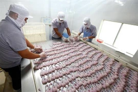 Dây chuyền đóng gói và sản xuất ếch xuất khẩu sang Mỹ. (Ảnh: Danh Lam/TTXVN)