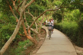 Thử một lần bỏ phố đông về với xanh xanh chốn cù lao 