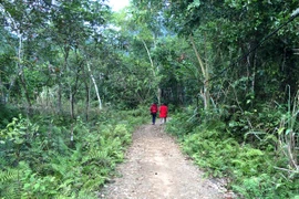 Du lịch Việt Hải: Nơi có Resort “treo” trong rừng...