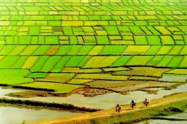  Điều chỉnh quy hoạch Đồng bằng sông Cửu Long đến năm 2030