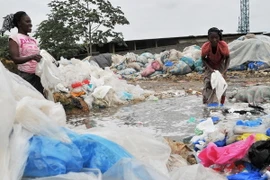 Tội phạm môi trường gây thiệt hại hàng trăm tỷ USD mỗi năm