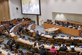 Bài phát biểu của Đại sứ Lê Hoài Trung tại Hội nghị UNCLOS