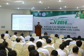 Tái cơ cấu sản xuất lúa gạo ở Đồng bằng sông Cửu Long