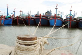 Chủ động, ứng phó kịp thời các tình huống về thiên tai, sự cố