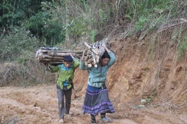 Bắc Bộ thời tiết ấm dần, trời nắng không khí hanh khô