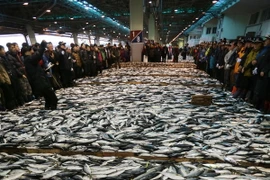 Hàn Quốc-Nhật Bản đạt thỏa thuận về hạn ngạch đánh bắt cá