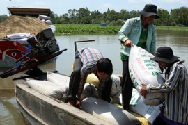 Tăng cường liên kết sản xuất và tiêu thụ thóc, gạo giai đoạn 2015-2020