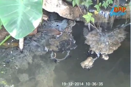 Hơn 10 năm “sống chung” với nước thải ô nhiễm, bốc mùi