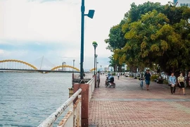 Nhiều vùng trên cả nước có nắng đẹp trong ngày đầu Năm Mới