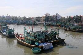Tàu thuyền neo đậu tránh trú bão. (Nguồn: TTXVN)