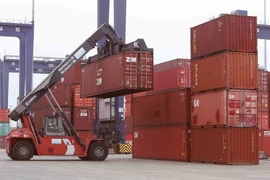 Ảnh minh họa. (Nguồn: TTXVN)