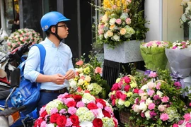 Ảnh minh họa. (Nguồn: TTXVN)