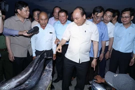 Thủ tướng Nguyễn Xuân Phúc thăm Cảng cá Cửa Việt. (Ảnh: Thống Nhất/TTXVN)