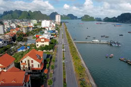 Quảng Ninh đổi đất để làm đường bao biển Hạ Long-Cẩm Phả 