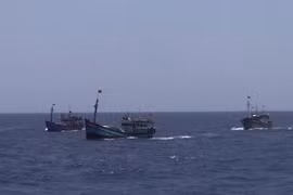 Ảnh minh họa. (Nguồn: TTXVN)
