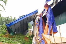 Ảnh minh họa. (Nguồn: TTXVN)