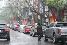 Ảnh minh họa. (Nguồn: TTXVN)