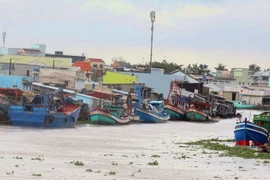 Neo đậu tàu thuyền tránh bão. (Ảnh: Lê Sen/TTXVN)