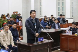 Bị cáo Đinh La Thăng trả lời câu hỏi của Luật sư. (Ảnh: Doãn Tấn/TTXVN)